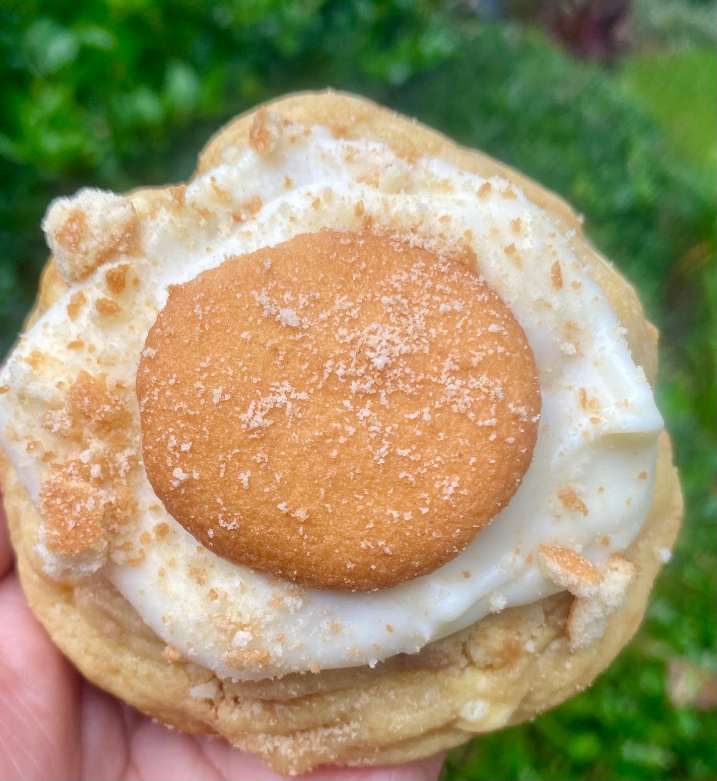 πͺ Gourmet Cookies β Where Flavor Meets Soul