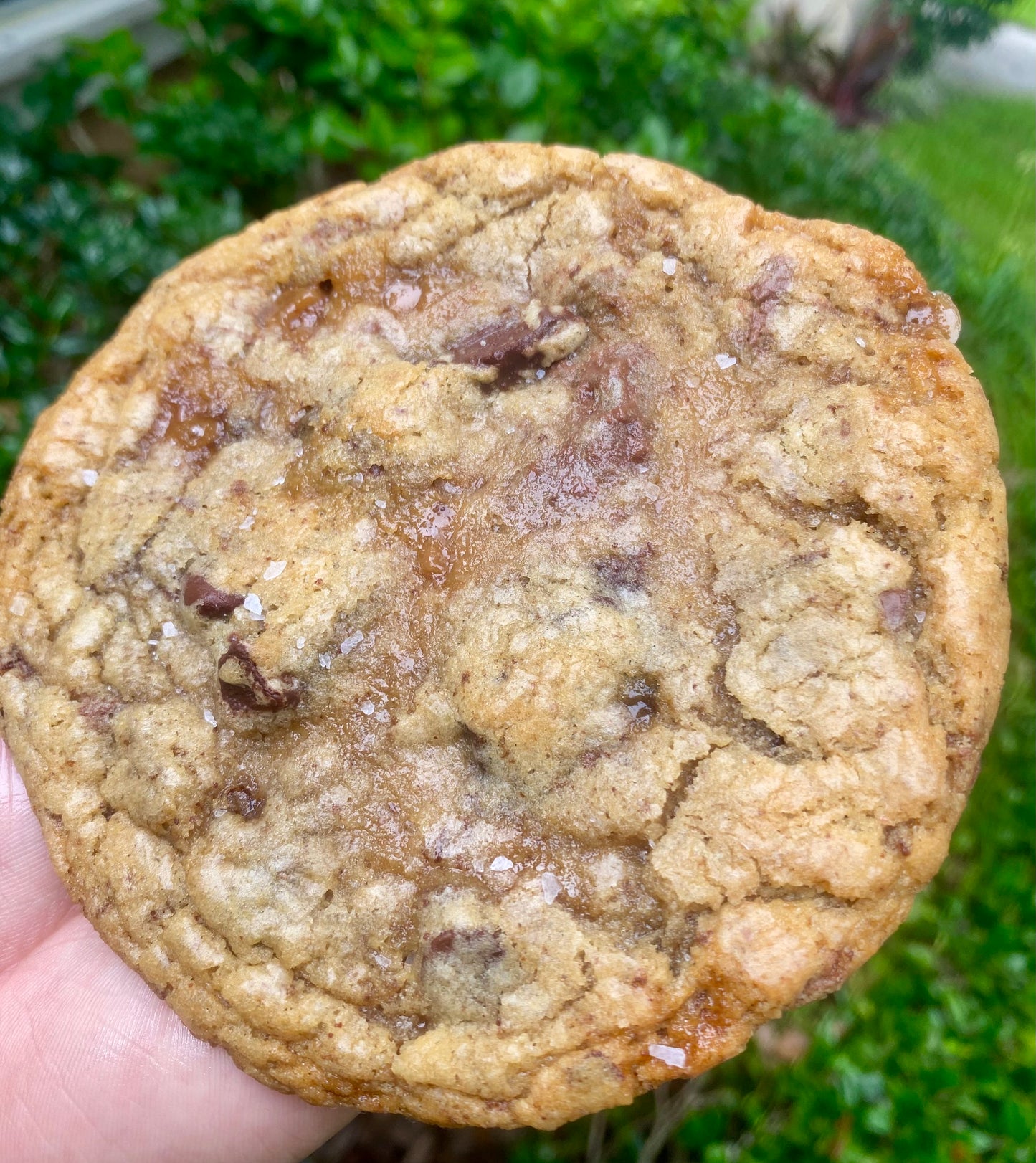 πͺ Gourmet Cookies β Where Flavor Meets Soul