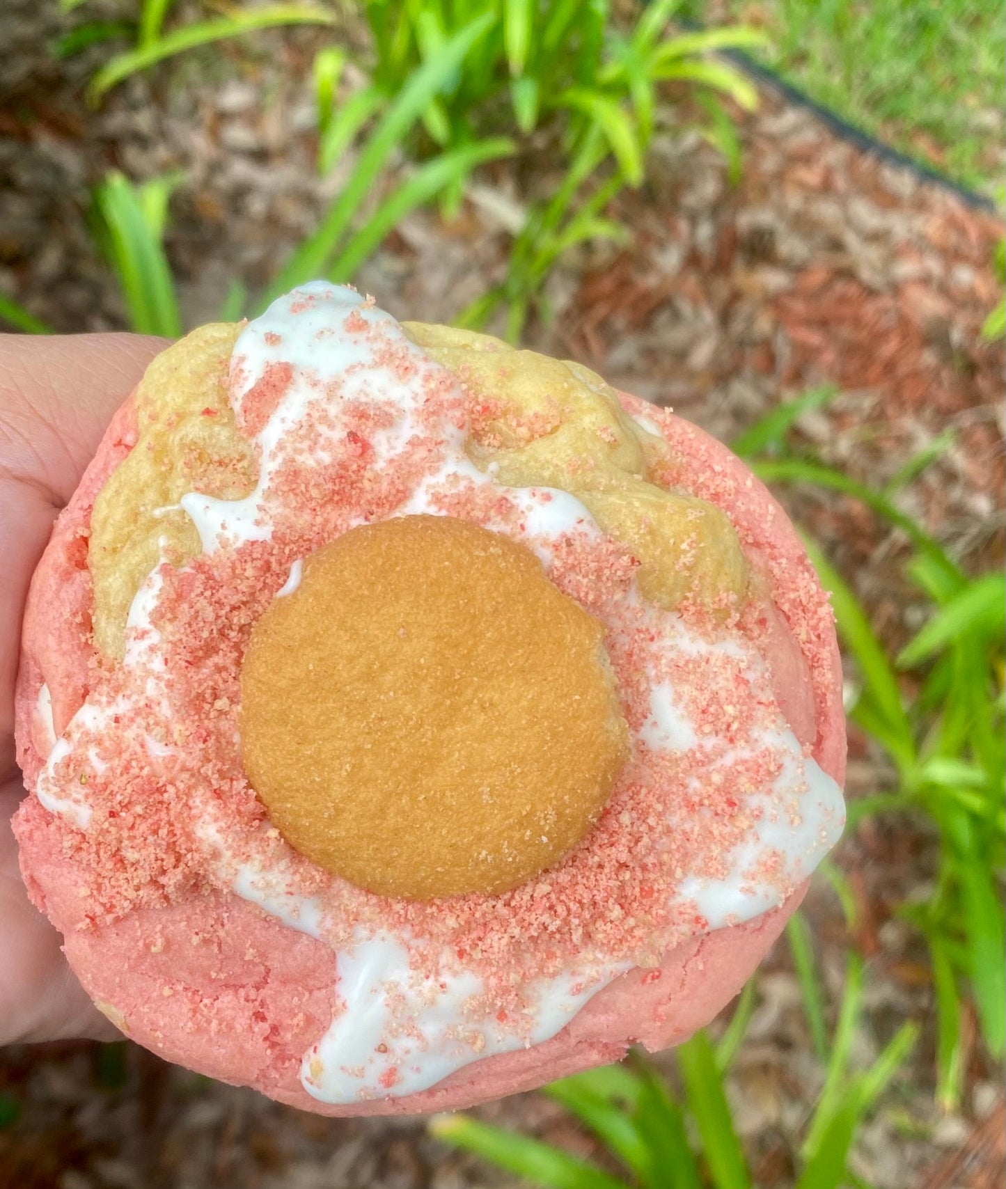 πͺ Gourmet Cookies β Where Flavor Meets Soul